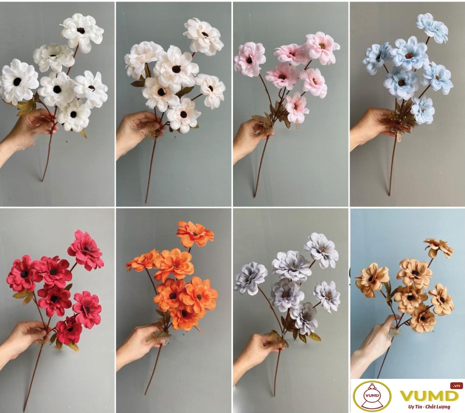 Hoa cúc mặt trời