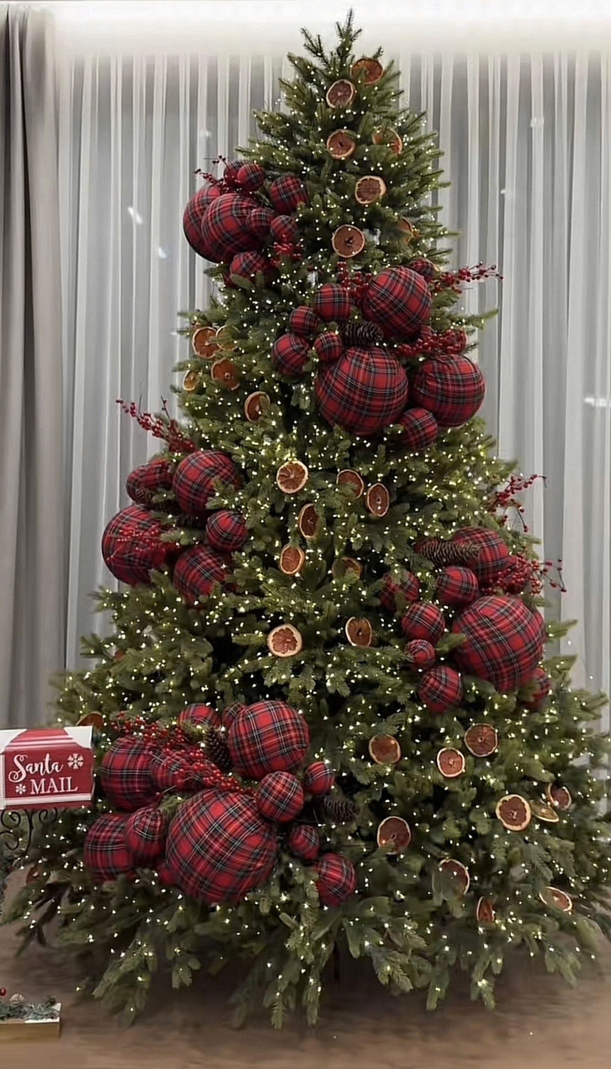 Mẫu cây thông 006